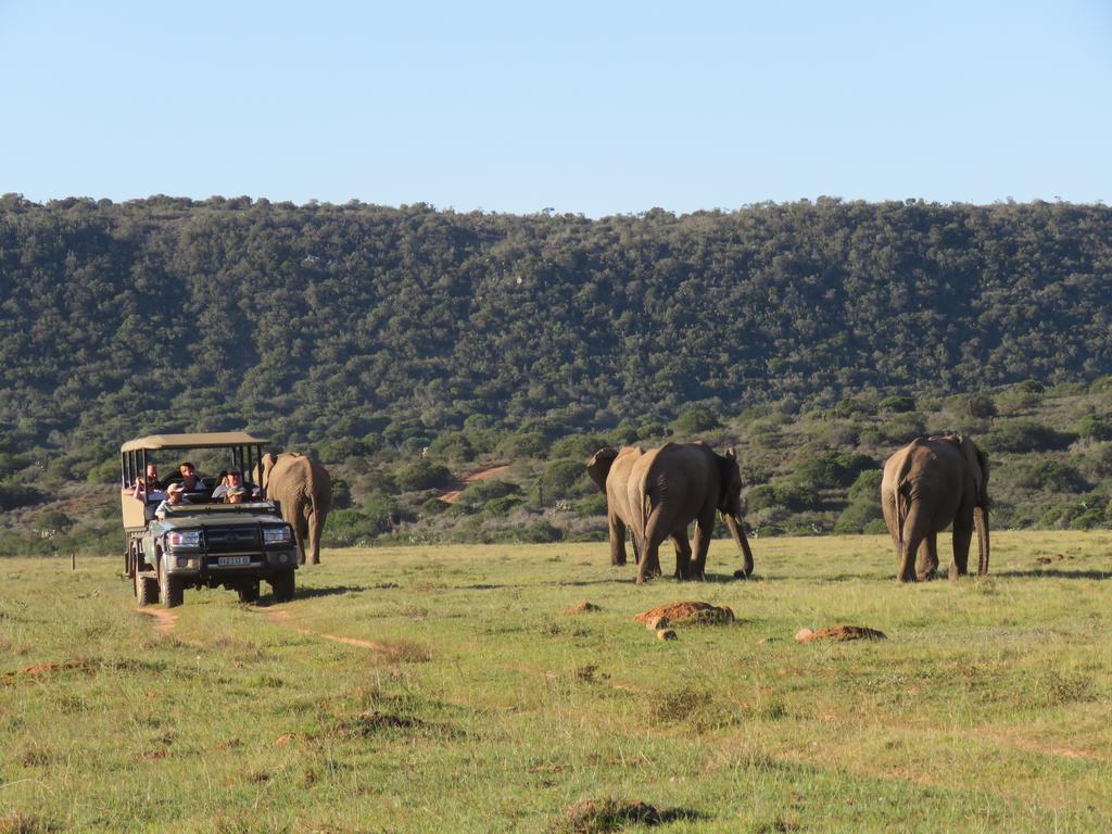 Woodbury Lodge - Amakhala Game Reserve Exterior foto