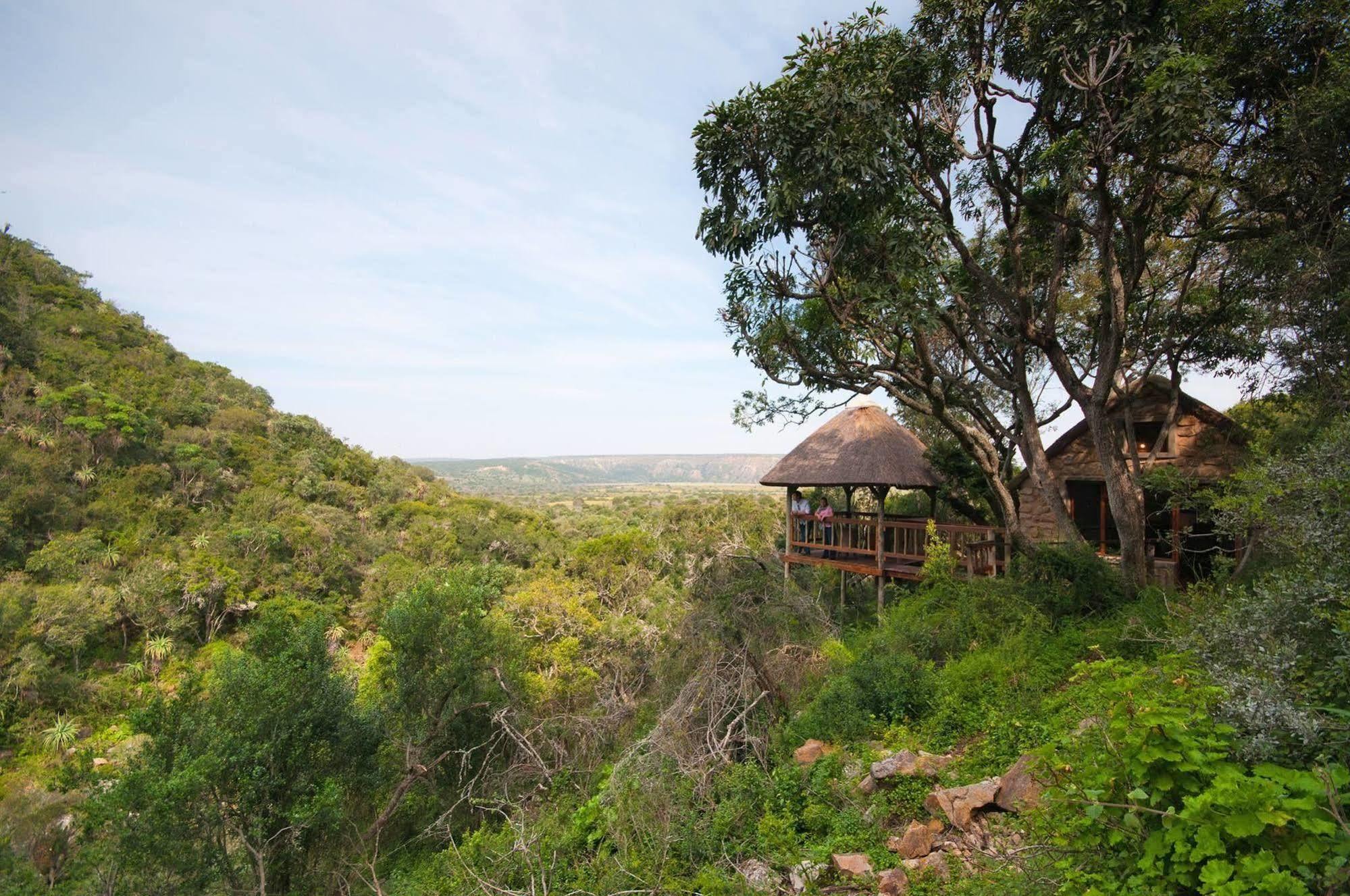 Woodbury Lodge - Amakhala Game Reserve Exterior foto