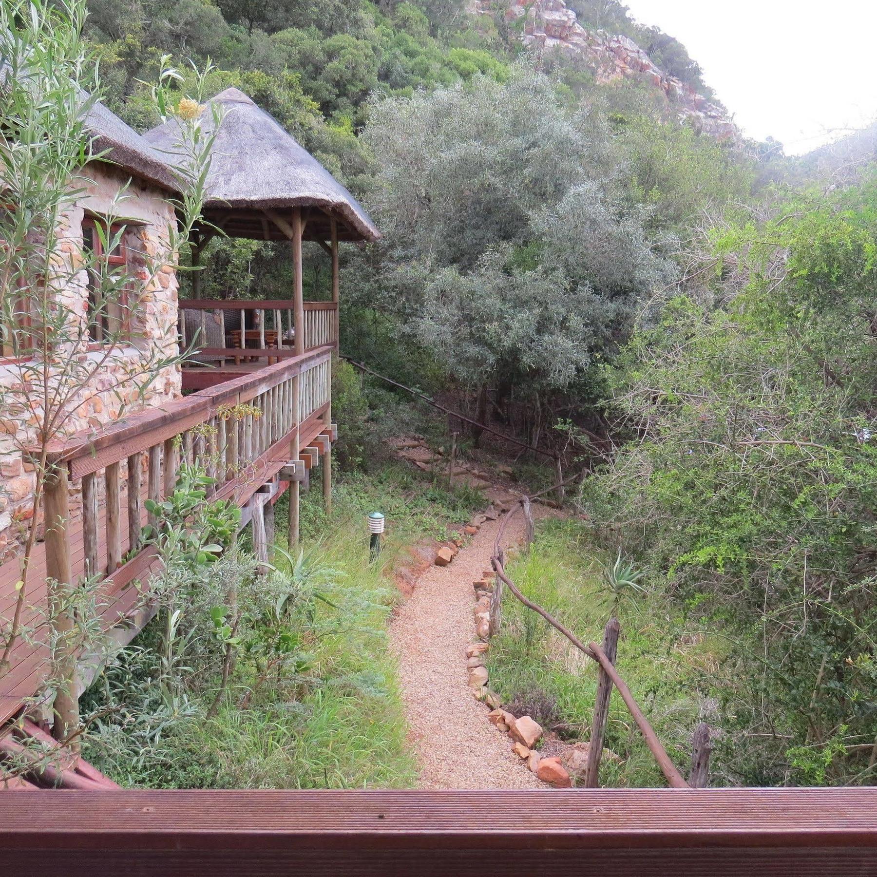 Woodbury Lodge - Amakhala Game Reserve Exterior foto